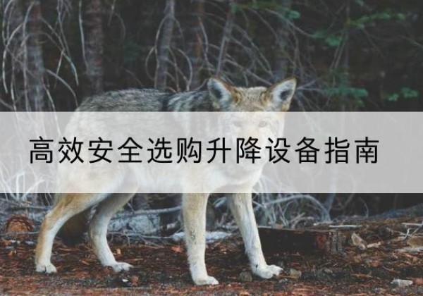 随县升降货梯厂家推荐-*安全选购升降设备指南