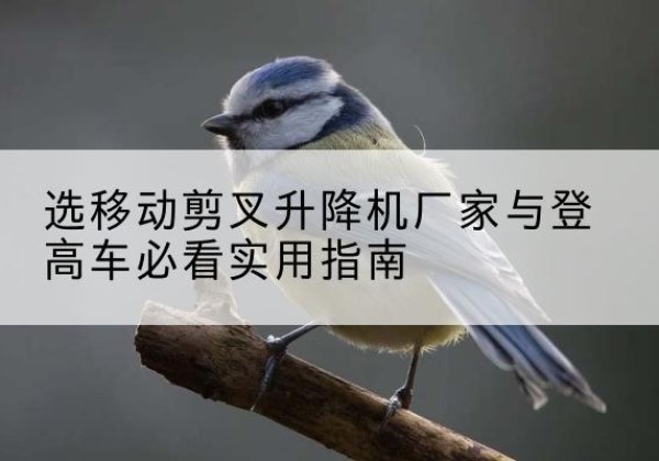 随县电动升降机厂家-选移动剪叉升降机厂家与登高车必看实用指南