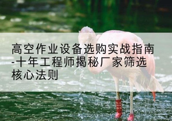 随县剪叉式升降机厂家-高空作业设备选购实战指南-十年工程师揭秘厂家筛选核心法则